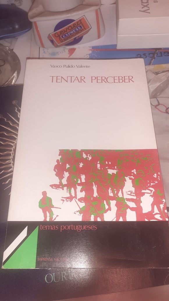 Vasco Pulido Valente Tentar Perceber livro 1983