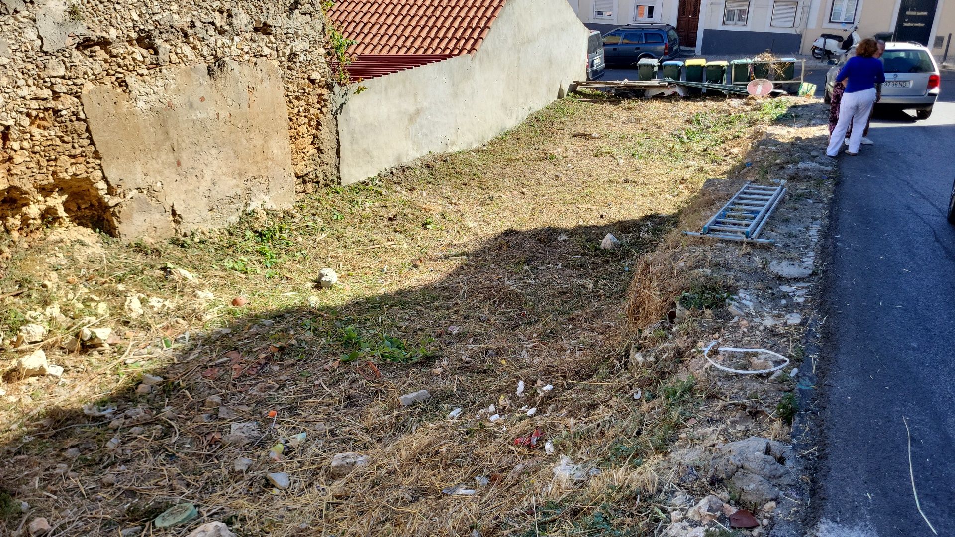 Limpeza de terrenos, jardins e quintal