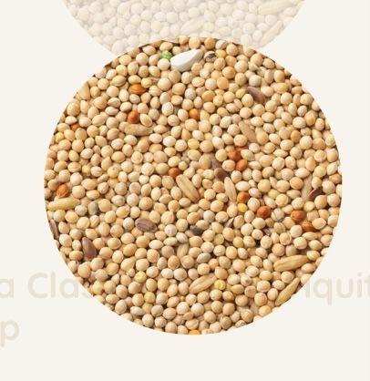 Mistura de sementes para aves