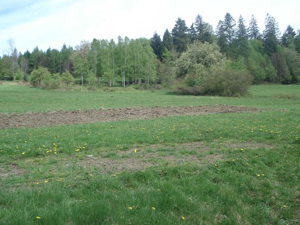 Sprzedam widokową działkę budowlaną pod lasem w Milówce kol. Prusów