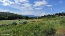 Quinta com Vista para a Serra da Estrela – Um Refúgio Natural