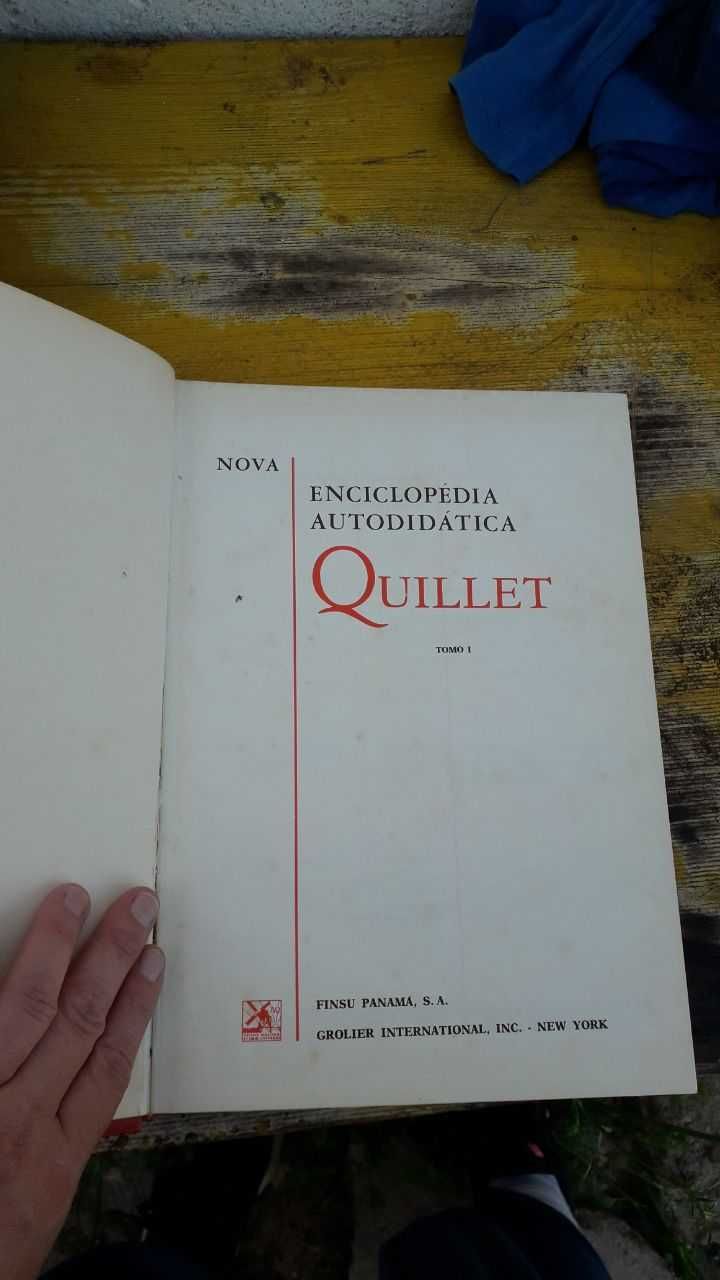 Enciclopedia Autodidatica Quillet volumes 1 e 2