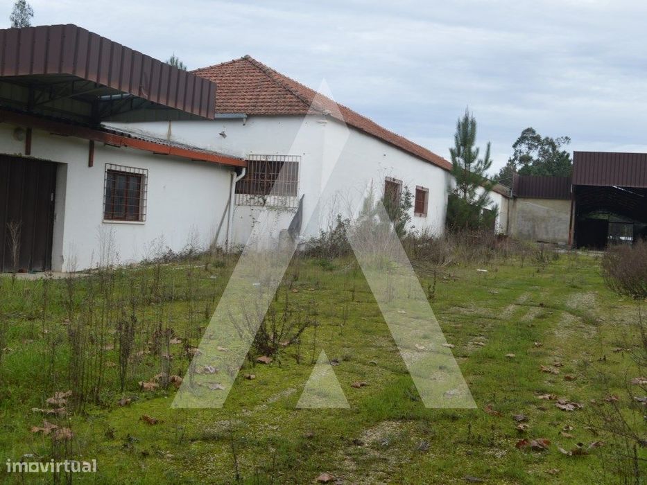 Armazém para venda em Vilarinho do Bairro