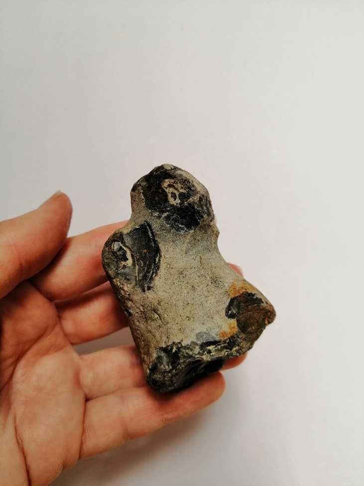 Skamielina, skamieniałość. Rozmiar 7x4,5 cm, waga 120g.