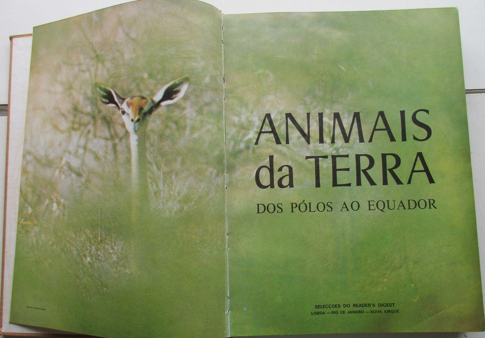 Animais da Terra - - - - - Enciclopédia