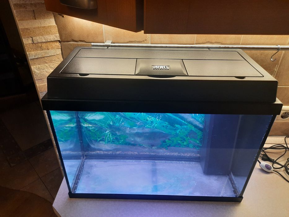 Продаётся Аквариум