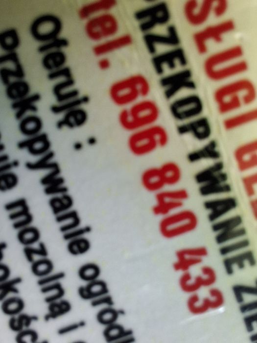 Wycinka i Przycinanie Drzew / Tui z podnośnika koszowego słupsk