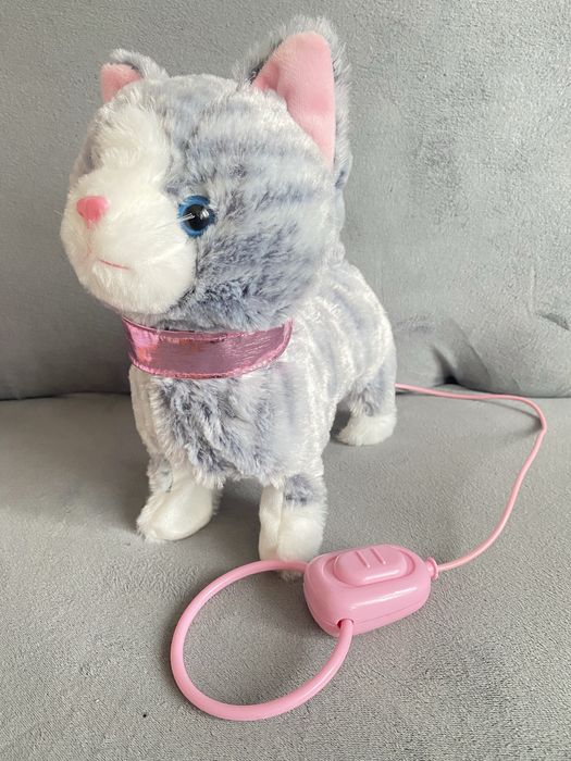 Котик на повідку