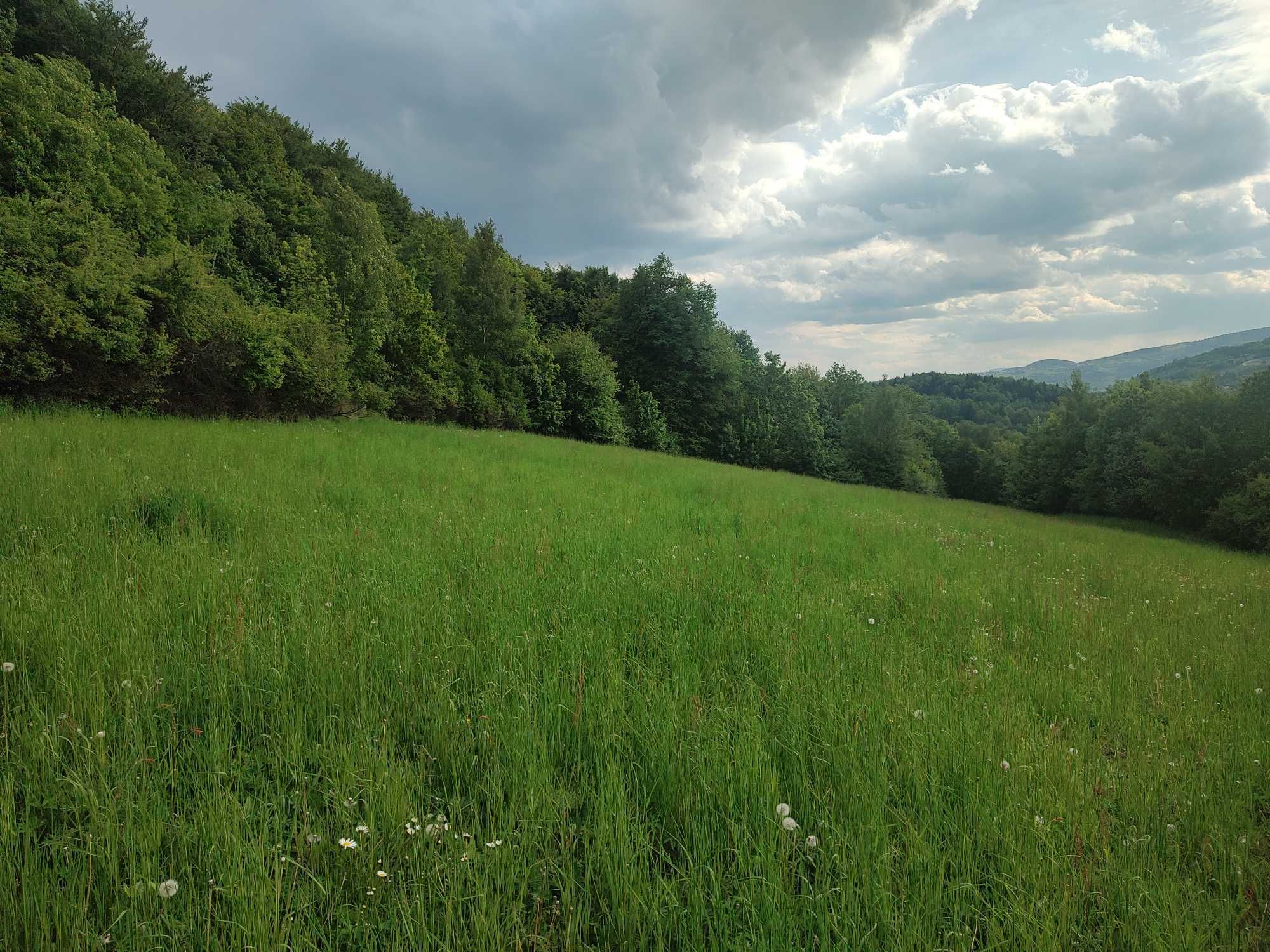 Działka widokowa - budowlana Kurów 72 ary