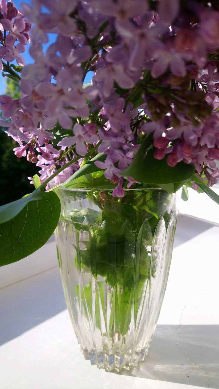 Стильна ваза для квітів вінтаж мінімалізм скло