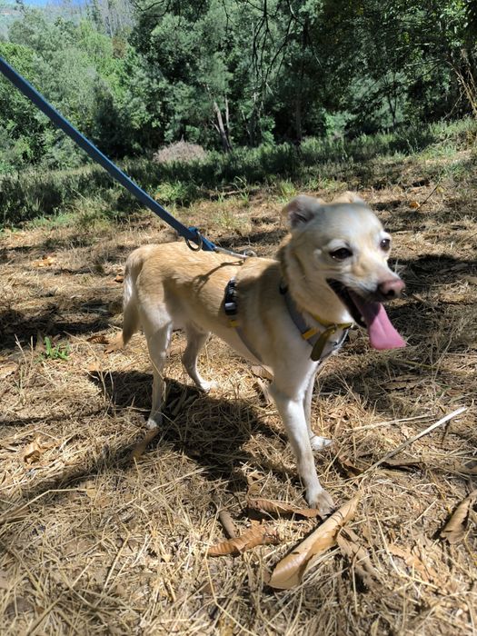 Macho porte mini + macho porte pequeno