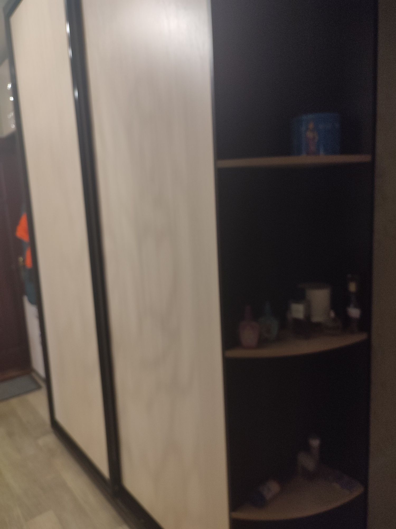 Большой шкаф купе для прихожей