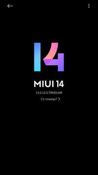 Xiaomi 12 pro idealny