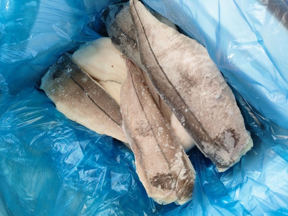 Dorsz filet ze skórą mrożony.