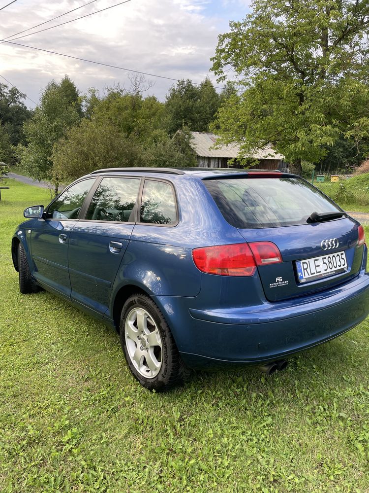 Audi A3 8P 2.0 TFSI Quattro
