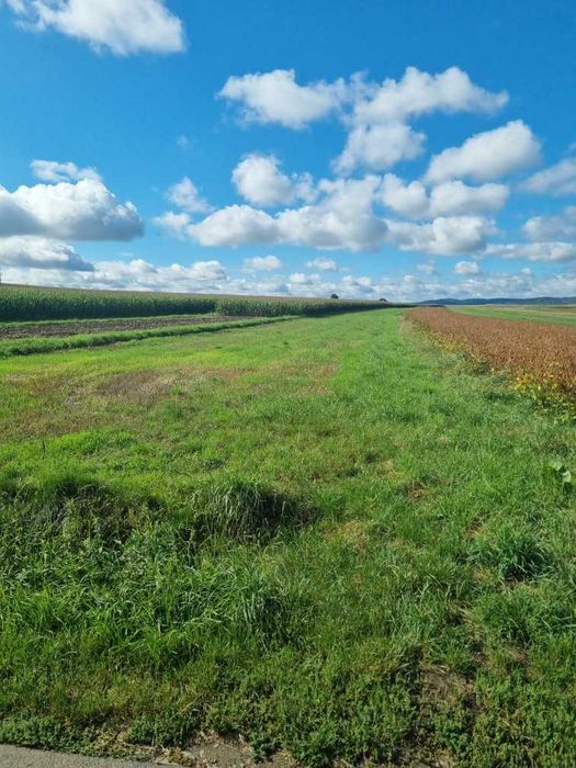 Działka budowlana 12 arów – Głowienka, ul. Polna – bez pośredników