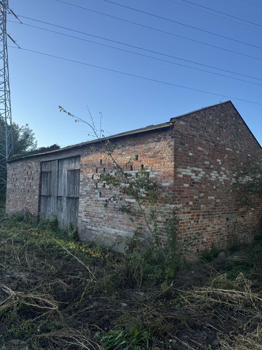 Oddam przedwojenną cegłe z budynków