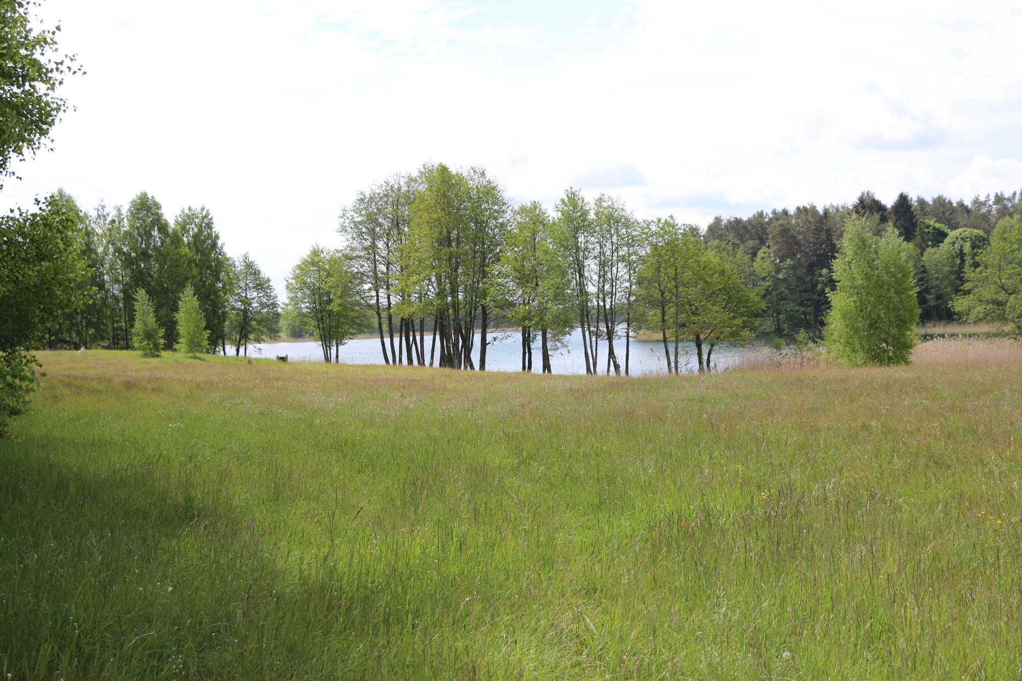 Działka z linią brzegową 4000m linia 43m