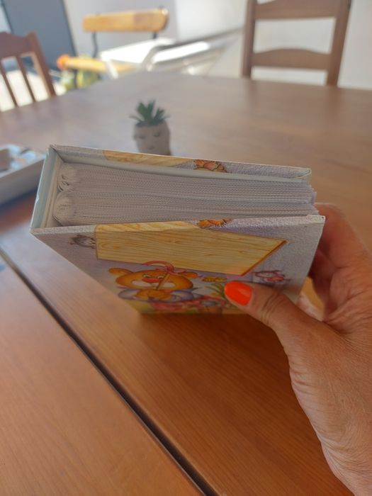 Álbum de 100 Fotografias A6