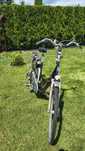 Rower  Sparta ION m-gear , damski 28"