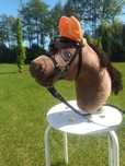 Hobby horse z kijem