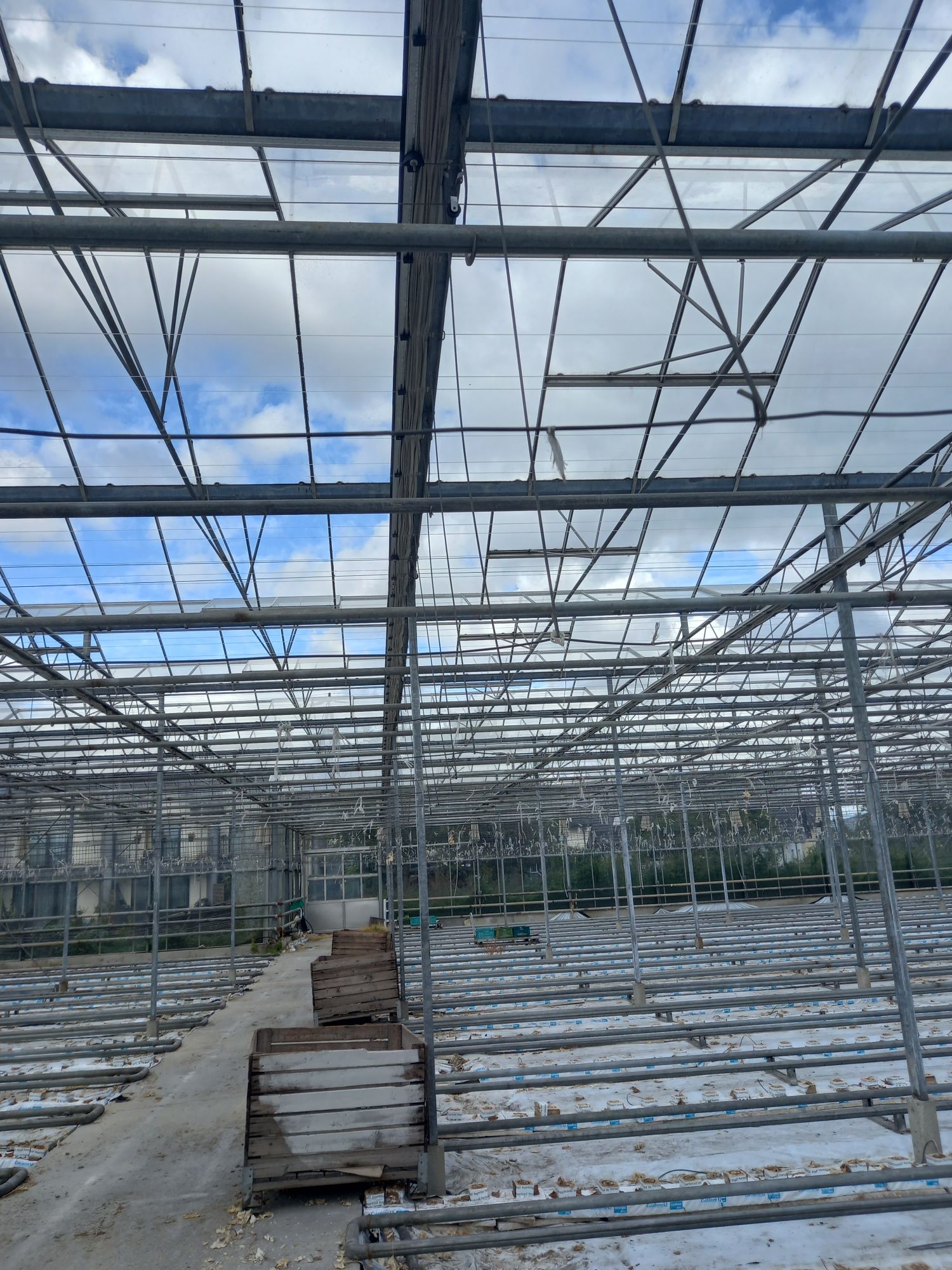 Szklarnia venlo 2700m2 holenderka