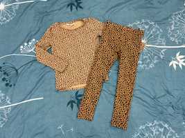 Zestaw w panterkę H&M bluzeczka + legginsy rozmiar 110/116