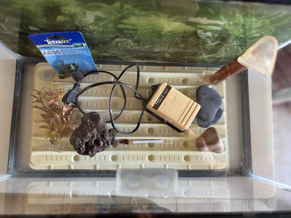 Aquário com acessórios