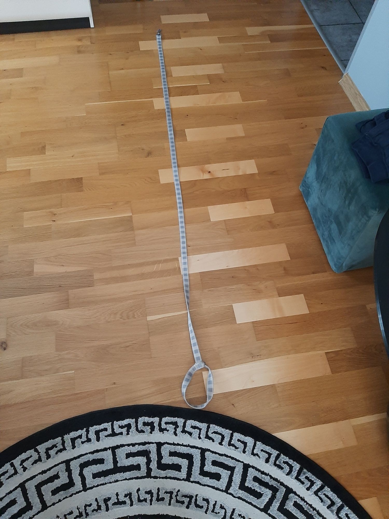 Akcesoria dla psów
