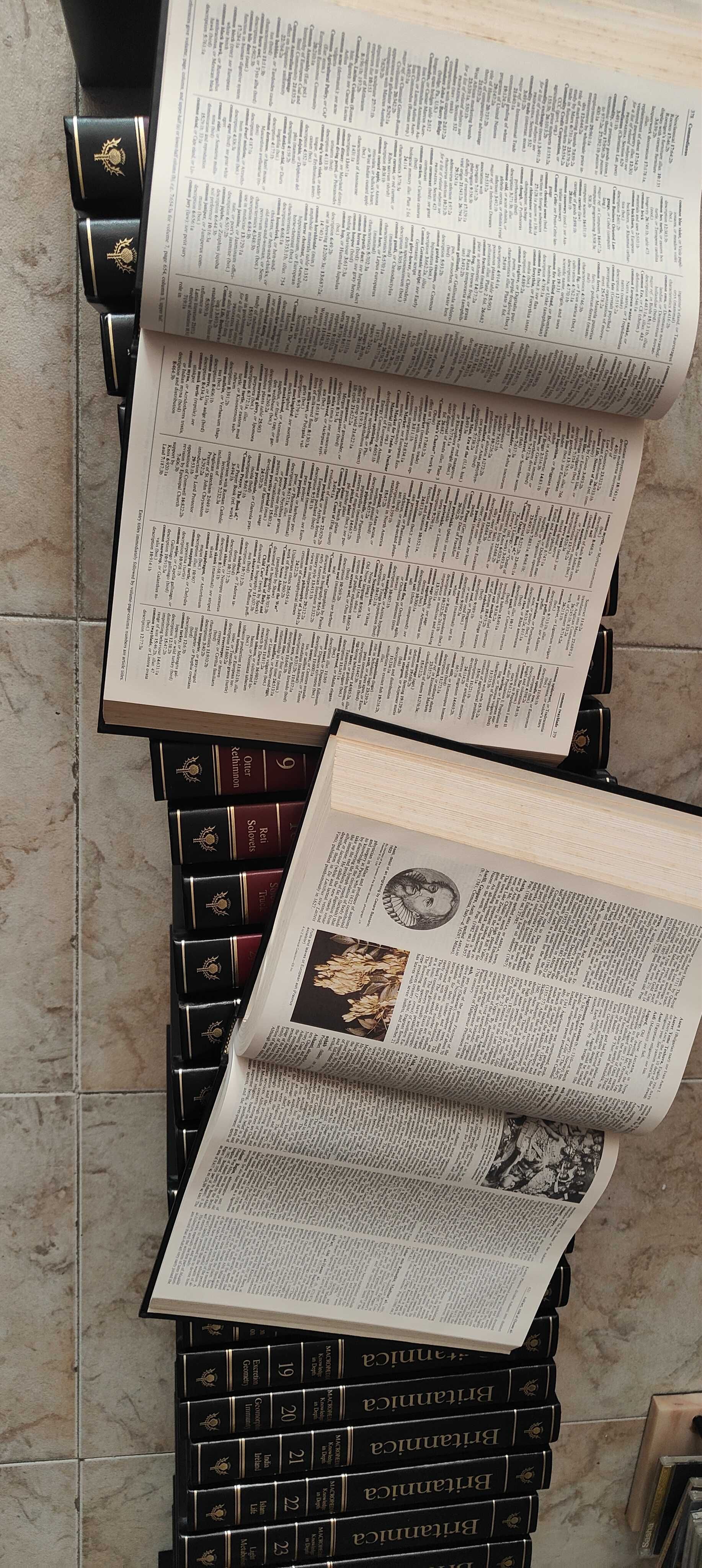 Enciclopédia Britannica 37 volumes Ref: Mont