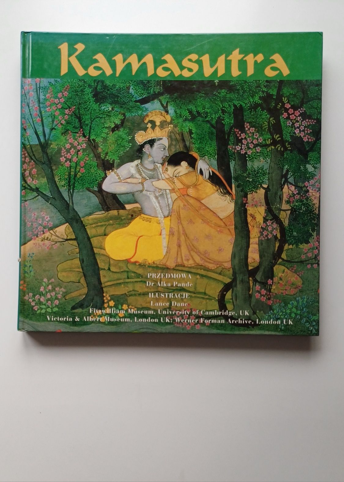 Kamasutra Dr Alka Pande. Duży album