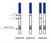 Testes de gravidez