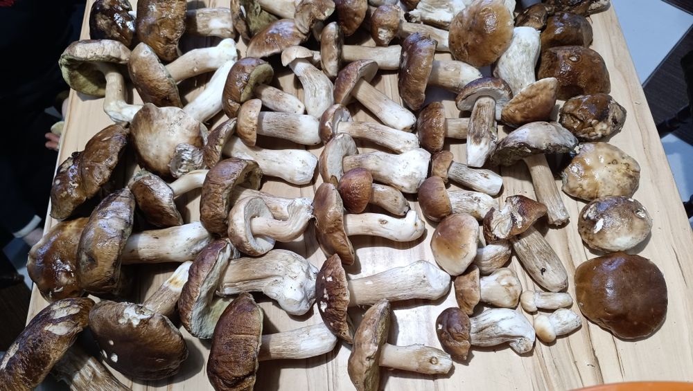 Гарбузове насіння, сухі гриби, мариновані гриби, капсули