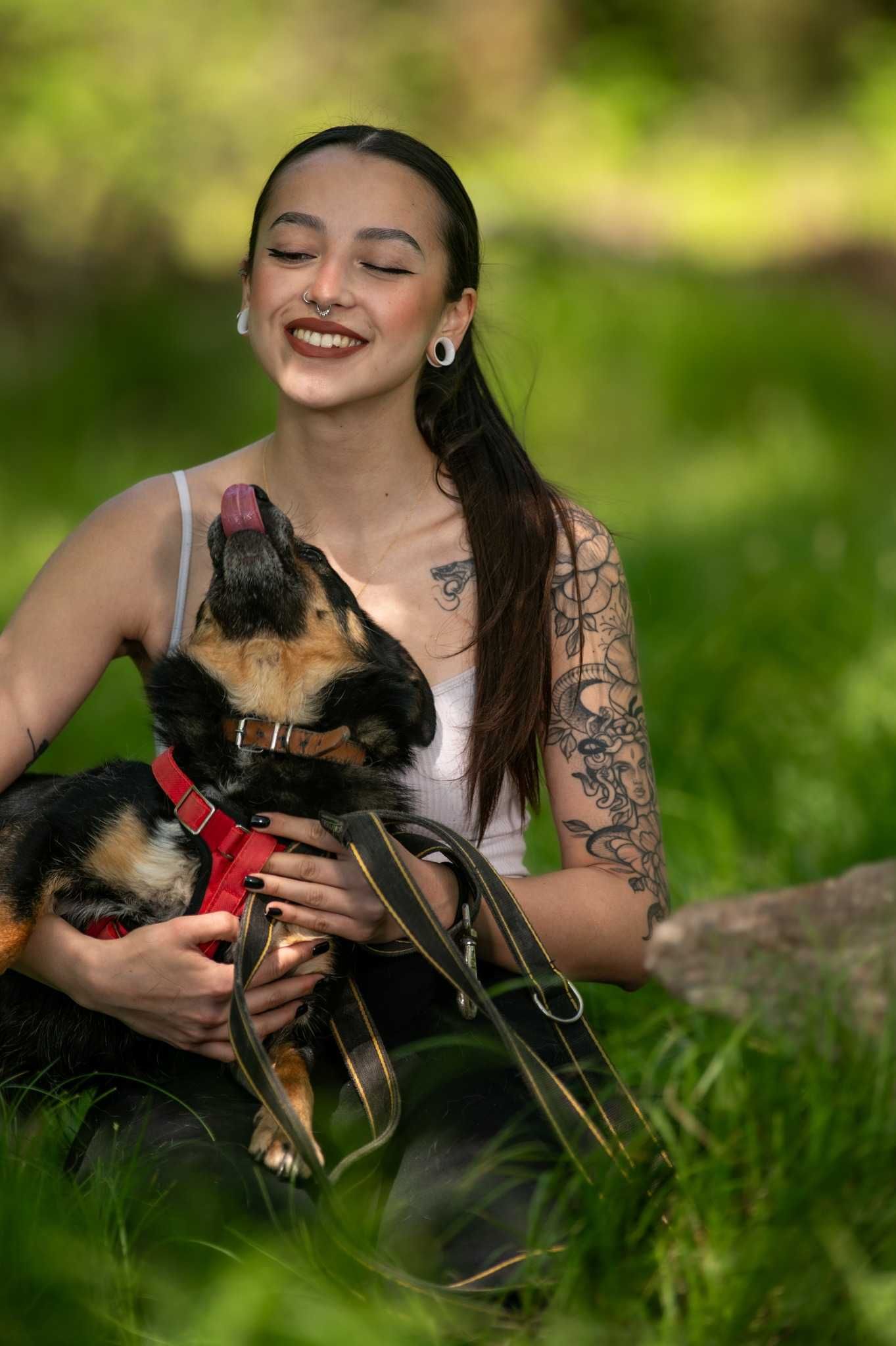 Brykiet - Czy znajdzie się dla mnie miejsce w Twoim sercu?