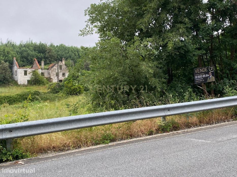 Quinta com Ruína - Oportunidade de Negócio