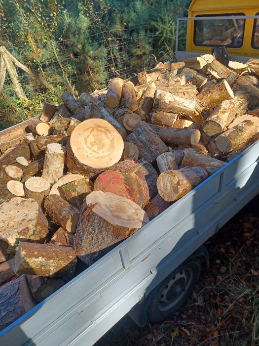 Drewno drzewo opałowe opał kominkowe buk dąb brzoza sosna olcha grab