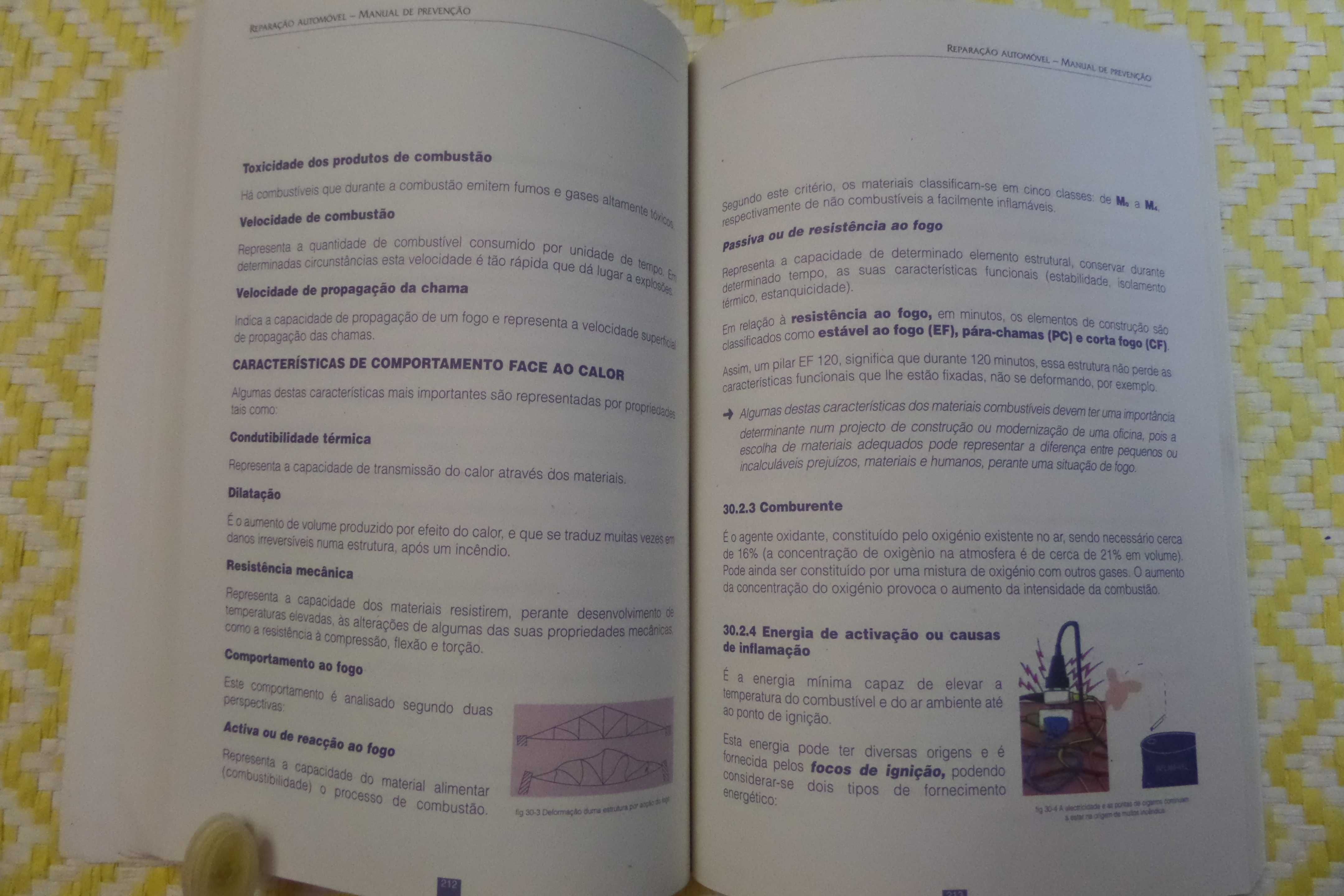 REPARAÇÃO AUTOMÓVEl Manual da prevenção – 
Vitor Rocha Ribeiro