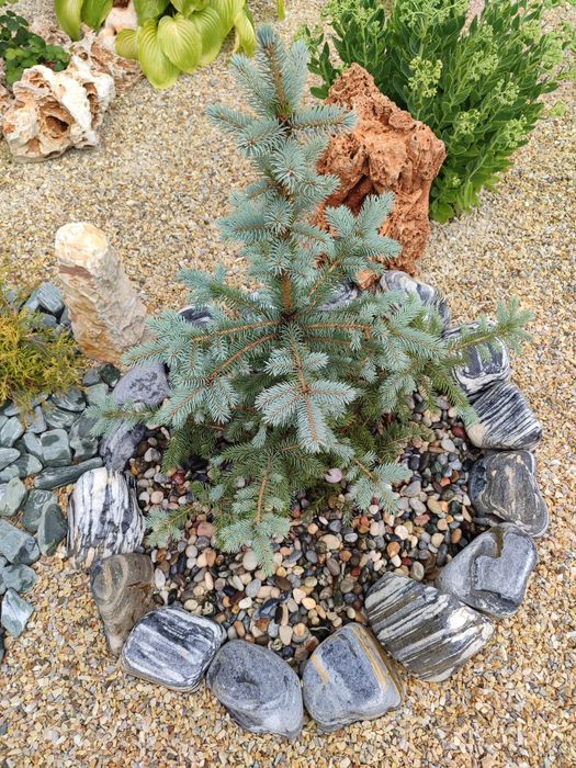 Галька мармурова, сіра з білими прожилками, галька мраморная для клумб