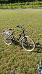 Rower damski mexller