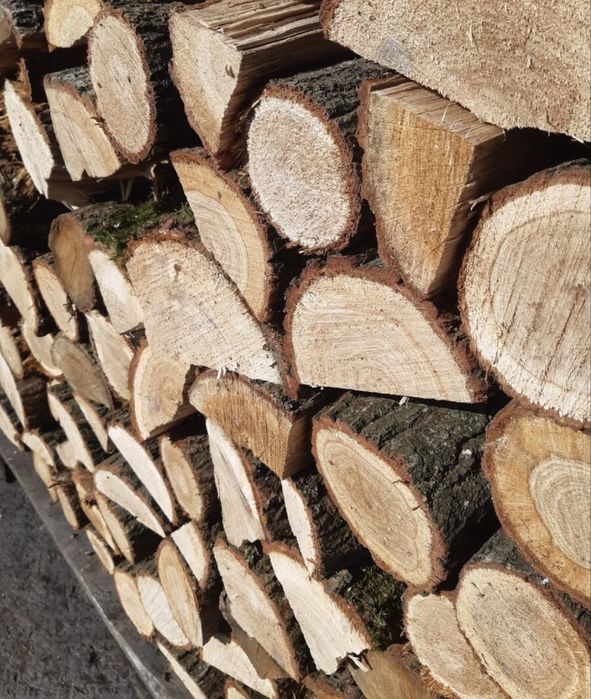 drewno opałowe DĄB