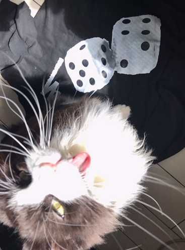 худ STUSSY з кубиками