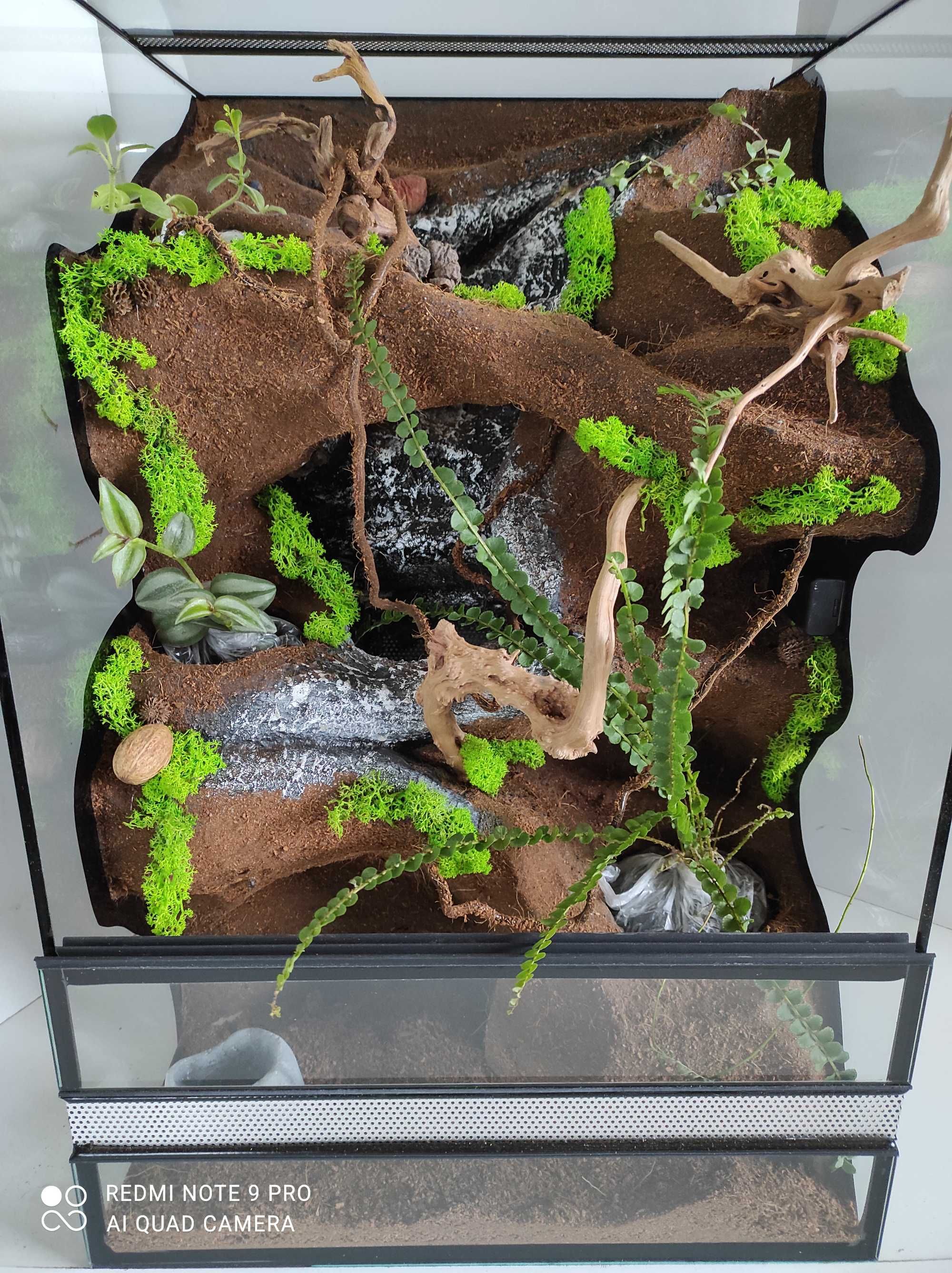 Terrarium pełnym wyposażeniem dla gekona orzęsionego TW02FO AquaWaves