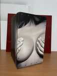 VOLT cool cajon The Front