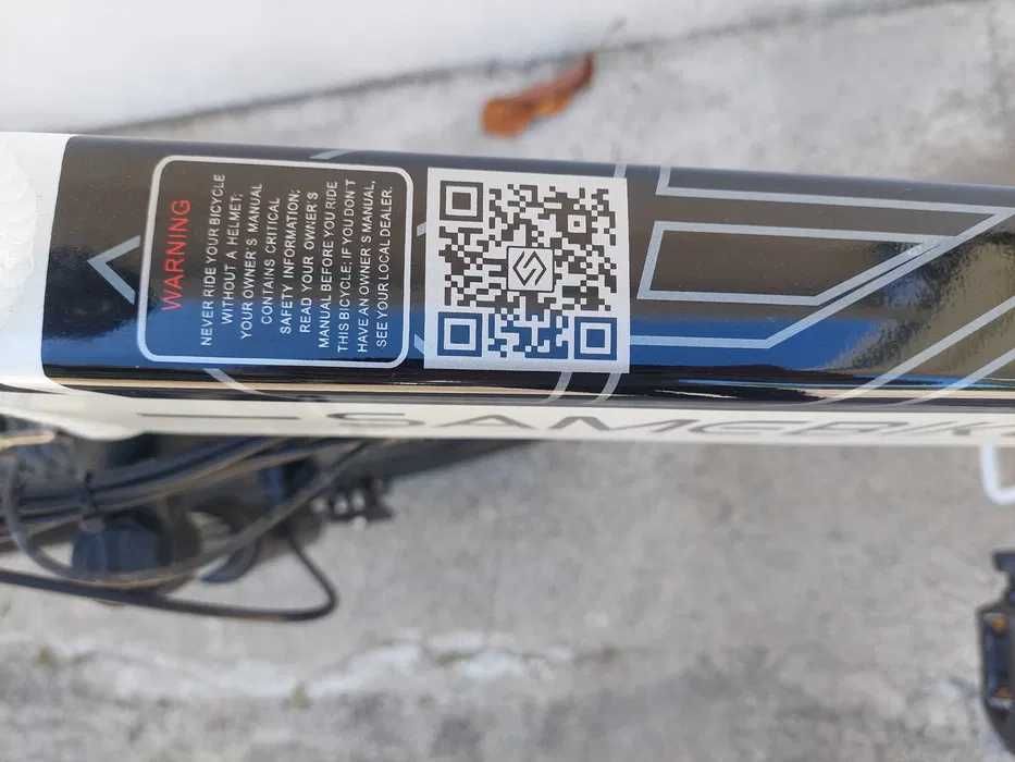 Bicicleta eléctrica