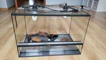 Terrarium dla żółwia