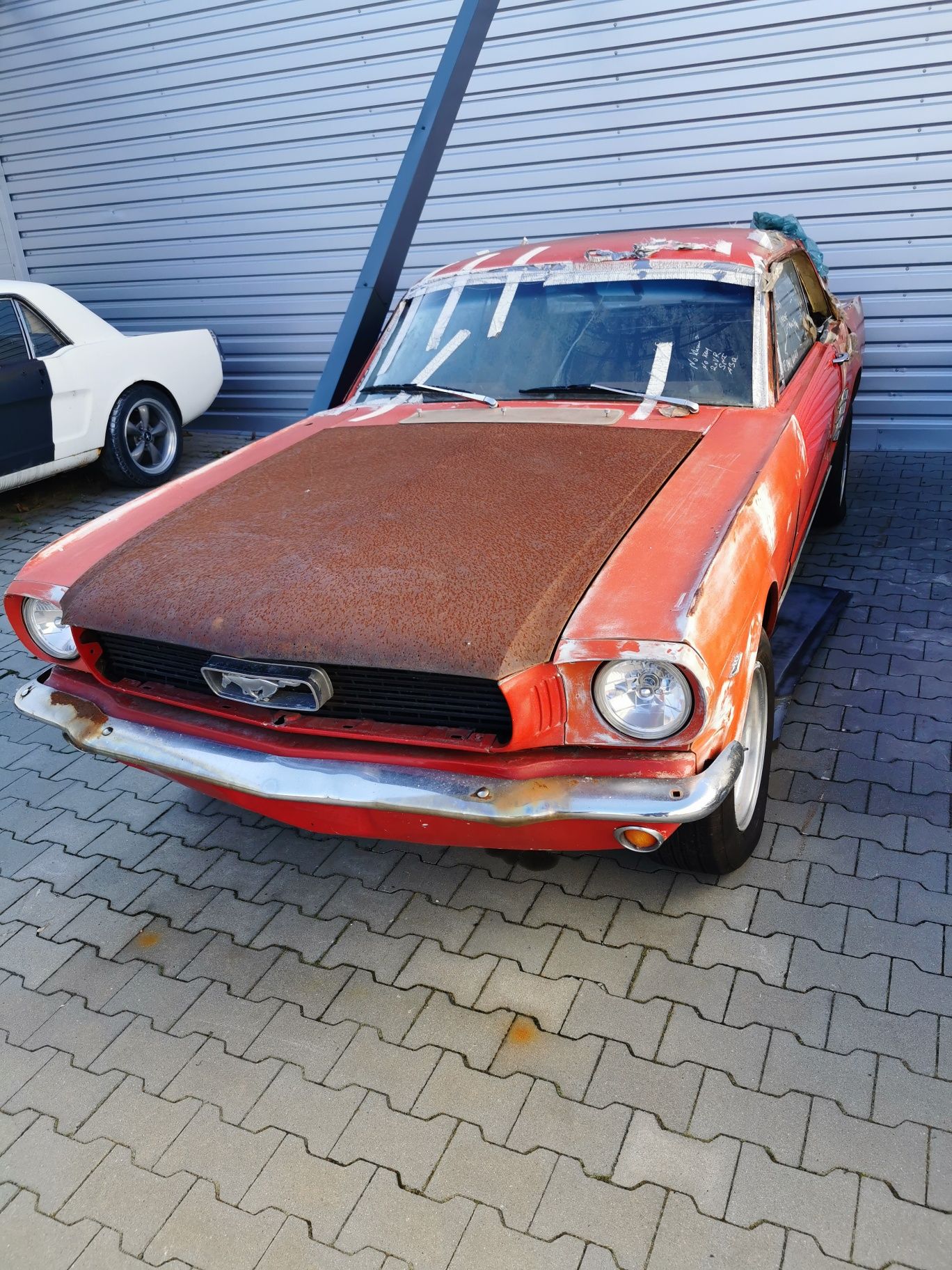 Projekt Mustang 66