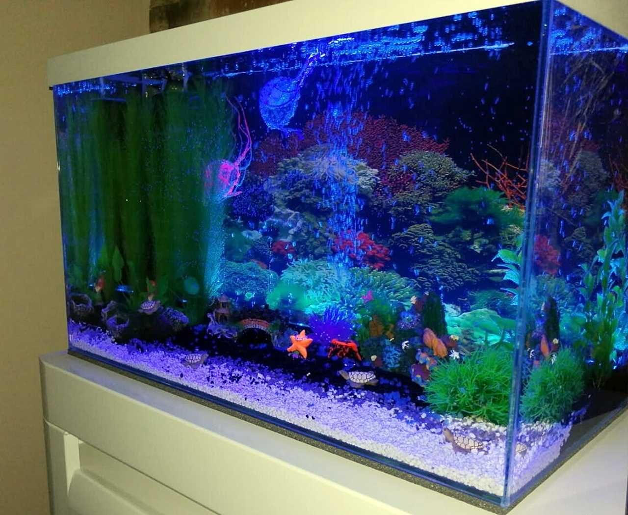 BIAŁY żwirek kwarcowy ceramiczny do akwarium 2-4mm 1kg AQUAdream