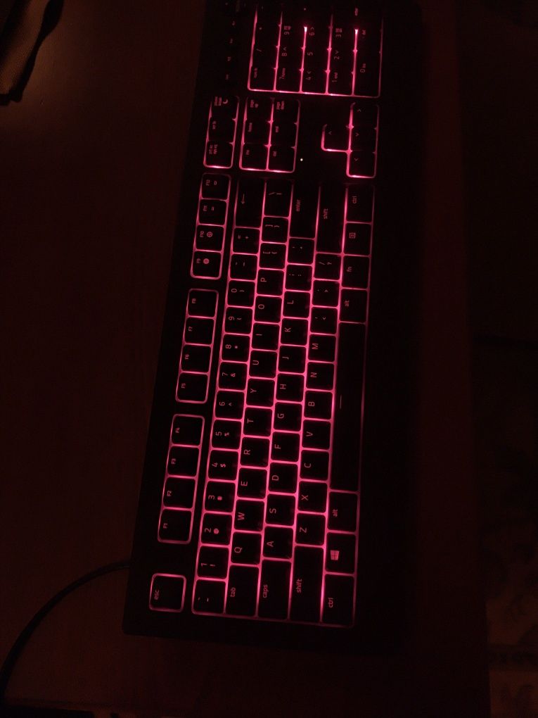Razer CYNOSA v2.