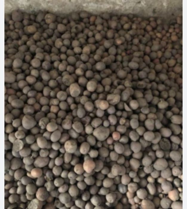 Продам дрібну картоплю