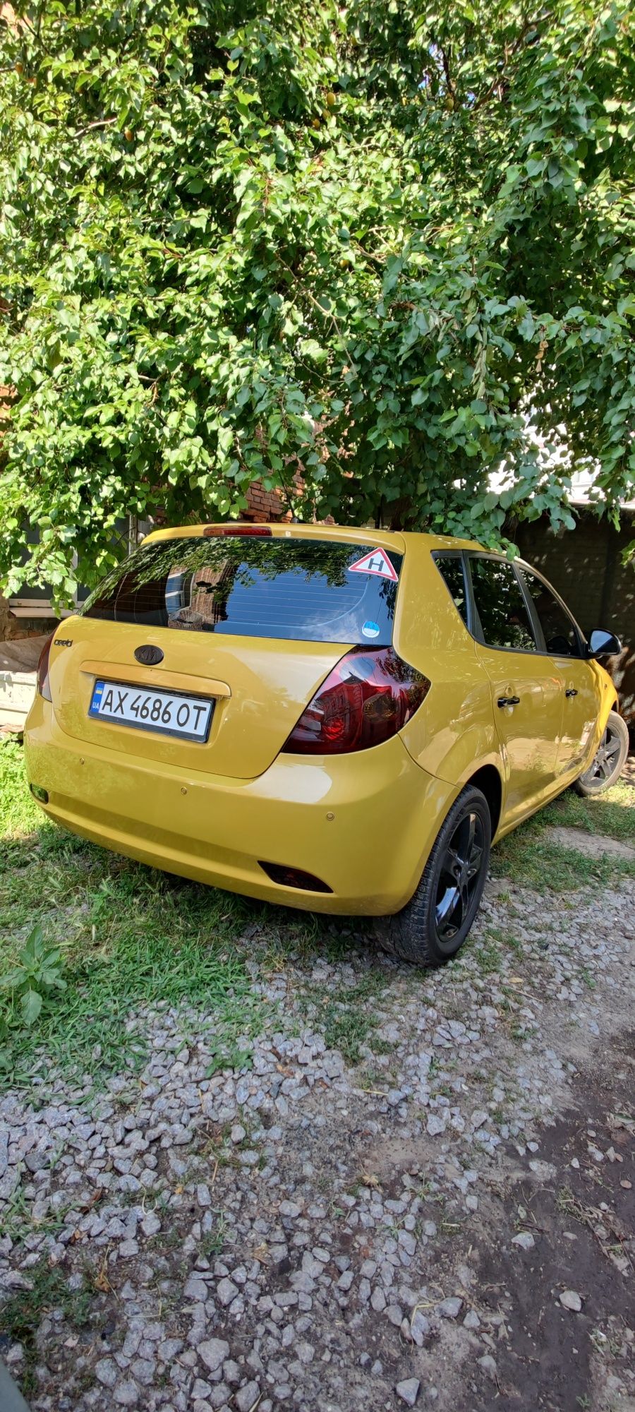 Продам свой KIA PRO CEED